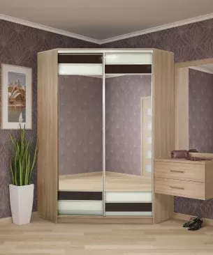 Шкаф Правиа